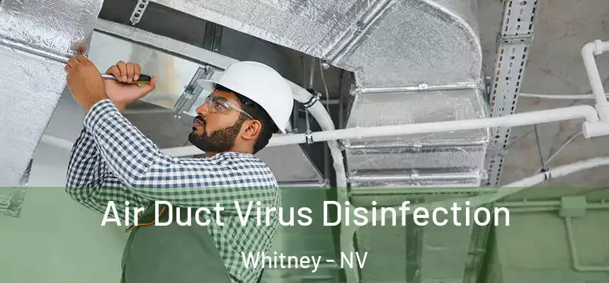  Air Duct Virus Disinfection Whitney - NV