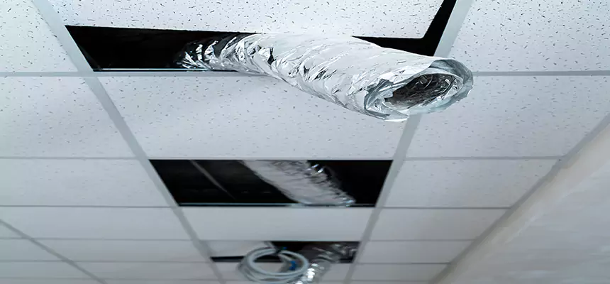 Affordable HVAC Sanitizing After Pest Removal in Whitney