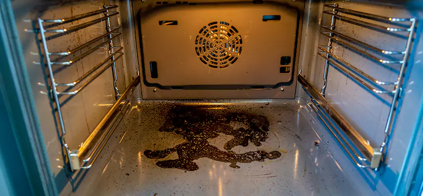 Our Air Purifier Installation Services in Whitney, NV