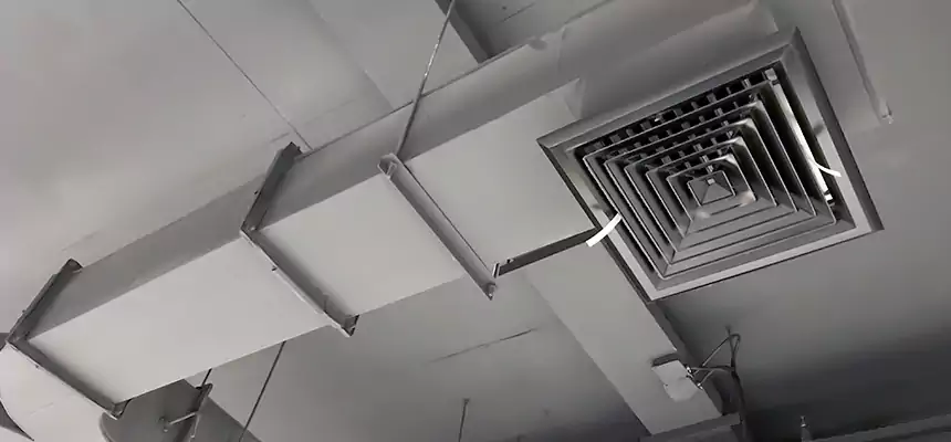 Restorative Allergy Relief Vent Cleaning – Coil, Blower & Housing Detail in Whitney