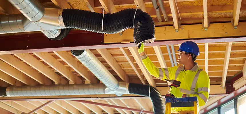 Replacing a Dryer Hose in Whitney, NV