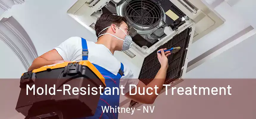  Mold-Resistant Duct Treatment Whitney - NV
