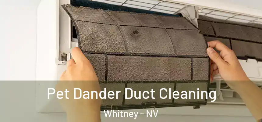  Pet Dander Duct Cleaning Whitney - NV