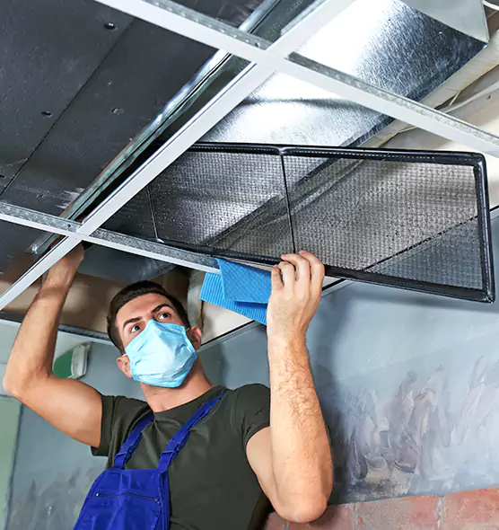 About Air Duct Bacteria Removal in Whitney