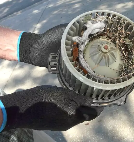 About Air Duct Mice Removal in Whitney, NV