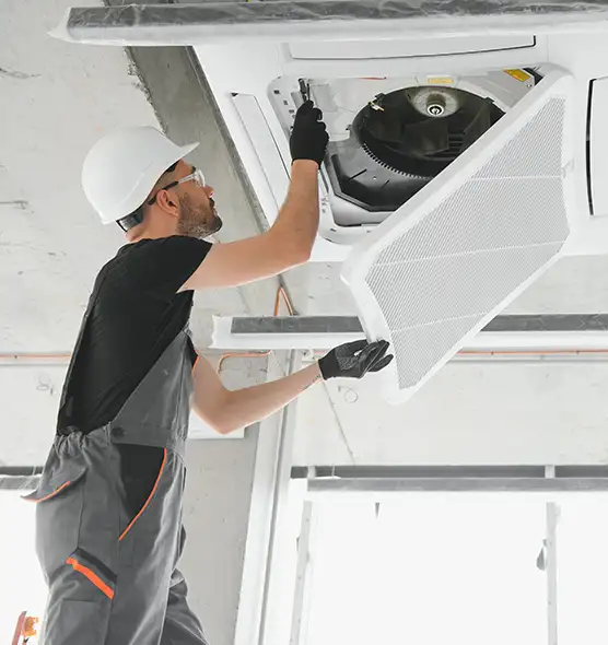 About Air Duct Rodent Removal in Whitney, NV