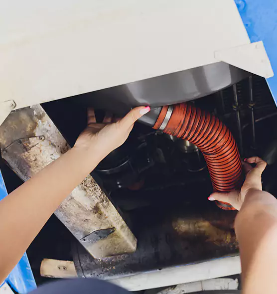 About Air Duct Virus Disinfection in Whitney, NV