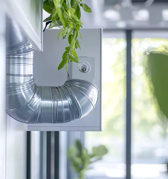 Professional Eco-Friendly Duct Cleaning Services in Whitney, NV