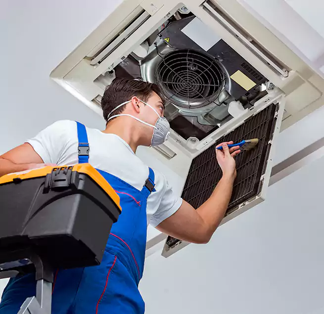 Why Homeowners & Businesses Trust Us in Whitney, NV