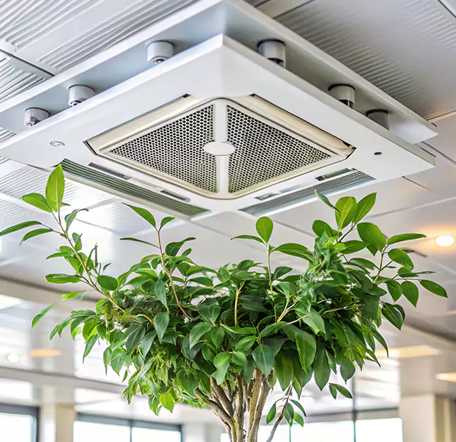 Why Homeowners & Businesses Trust Us in Whitney, NV?