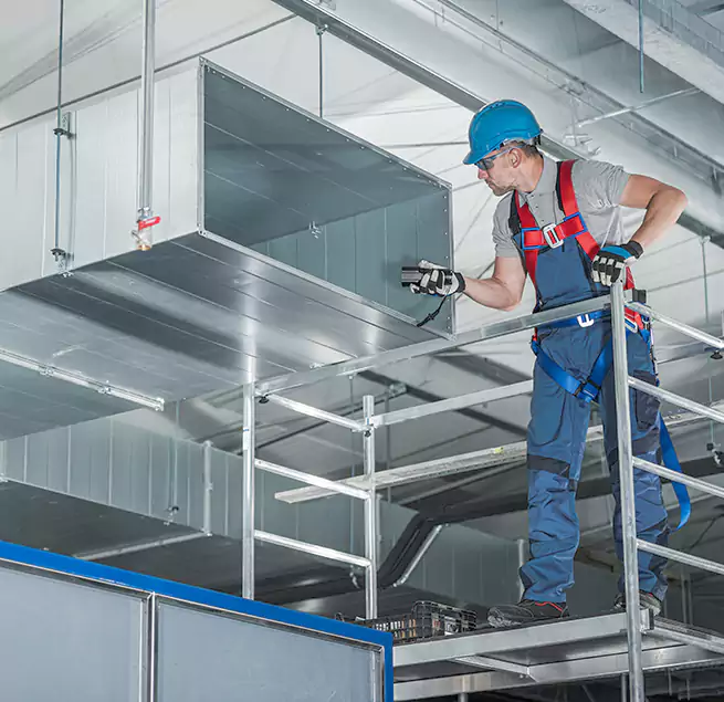 Why Homeowners & Businesses Trust Us in Whitney, NV?