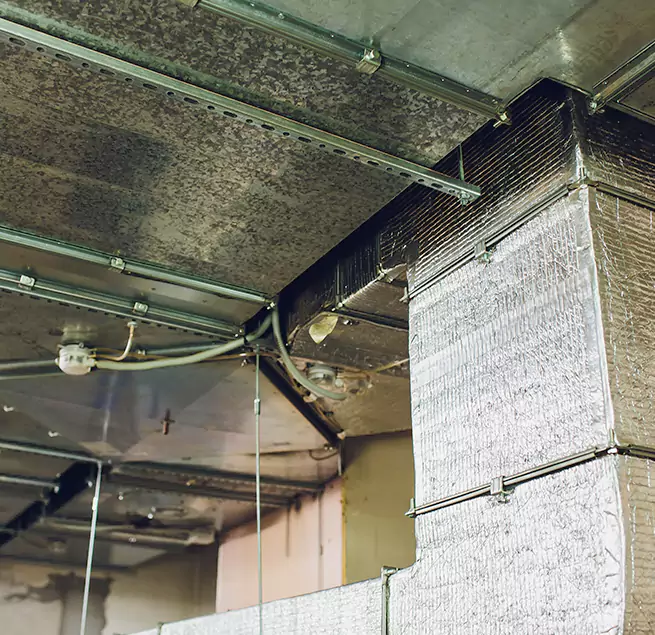 Why Homeowners & Businesses Trust Us in Whitney, NV?