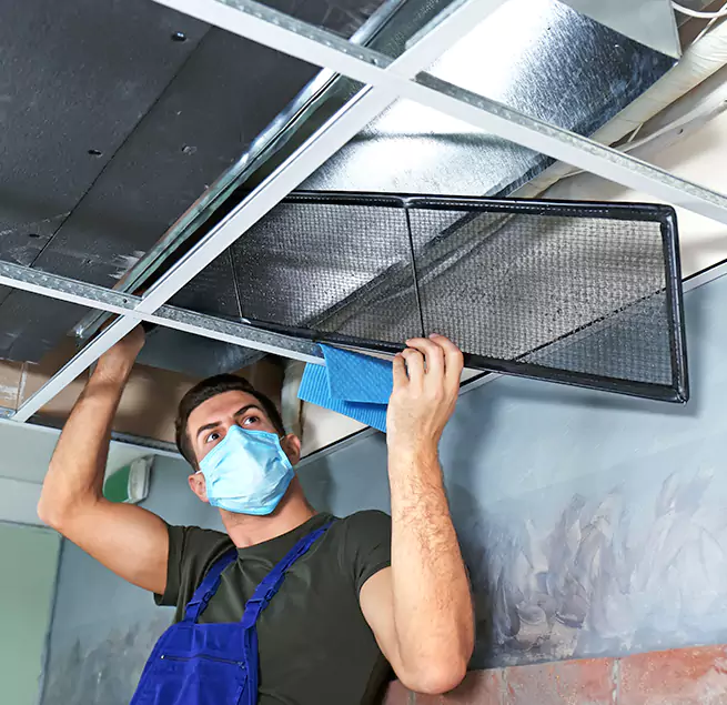  Why Homeowners Businesses Trust Us  in Whitney, NV?